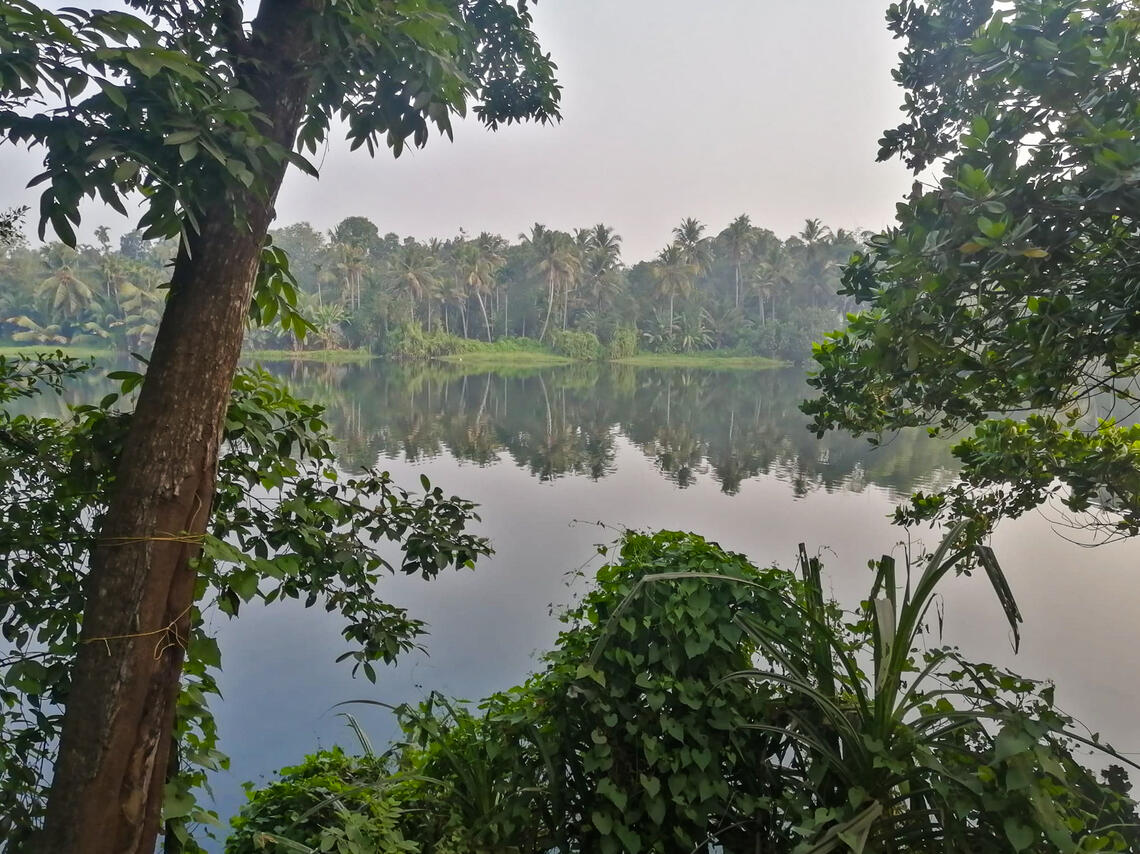 Backwaters of Kerala